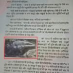 SCERT की किताब में चमकी खैरागढ़ की कला, कक्षा 8वीं के विद्यार्थी पढ़ेंगे धरम-मनीषा की बनाई शैल-कलाकृतियां 17853886445337451805105714589875