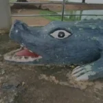 इस गांव में भगवान का दूत माना जाता है मगरमच्छ, तालाब में साथ नहाते हैं इंसान! crocodile