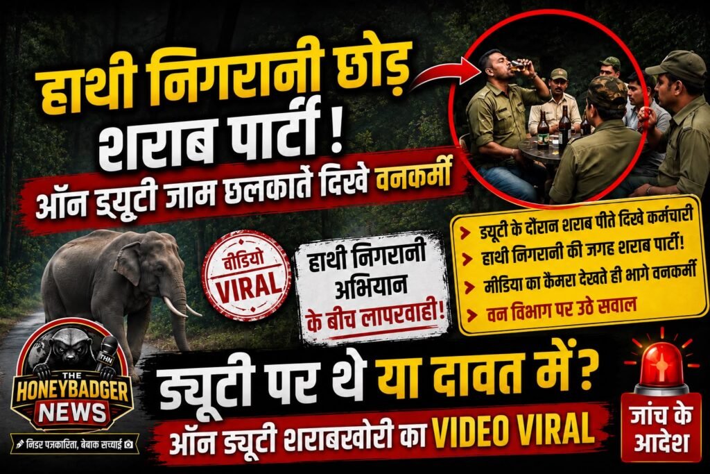 Ambikapur News: ऑन ड्यूटी शराब पार्टी! हाथी निगरानी छोड़ ढाबे में जाम छलकाते दिखे वनकर्मी whatsapp image 2026 07 10 at 8.06.26 pm (1)