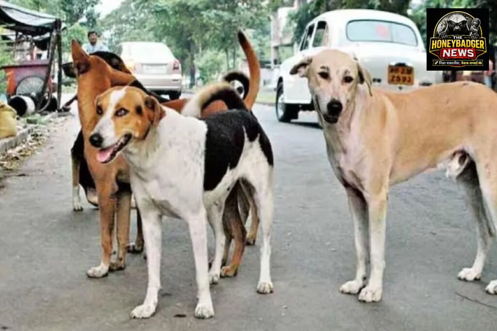 सावधान! यहाँ कुत्ते के काटने पर लगेगा ₹5000 का जुर्माना, ग्रामीणों का अनोखा फैसला hfdhrf