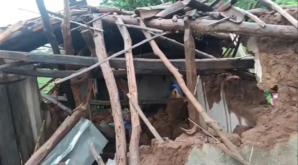 बारिश का मौसम और सिर पर छत नहीं, हाथियों के हमले में टूटा घर, अब परिवार कैसे गुजारेगा रात? image