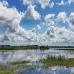 छत्तीसगढ़ में अगले 3 साफ रहेगा मौसम, फिर बढ़ेंगी मानसूनी एक्टिविटी, IMD ने इन जिलों में जारी किया अलर्ट untitled design 2026 04 22t073727.248 11zon 768x432