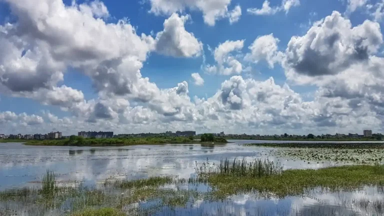 छत्तीसगढ़ में अगले 3 साफ रहेगा मौसम, फिर बढ़ेंगी मानसूनी एक्टिविटी, IMD ने इन जिलों में जारी किया अलर्ट untitled design 2026 04 22t073727.248 11zon 768x432