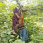 प्रेमी जोड़े ने की आत्महत्या: पेड़ पर एक ही दुपट्टे से लटकी मिली लाश, पुलिस कर रही मामले की जांच fasi 2