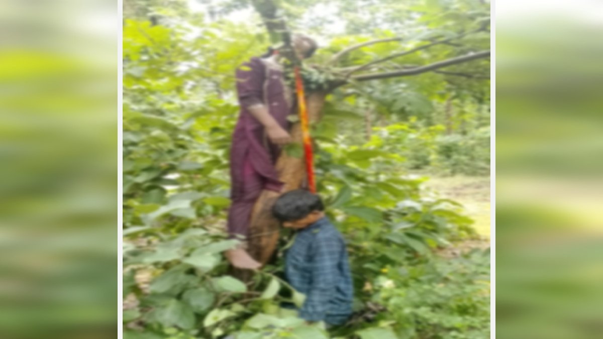 प्रेमी जोड़े ने की आत्महत्या: पेड़ पर एक ही दुपट्टे से लटकी मिली लाश, पुलिस कर रही मामले की जांच fasi 2