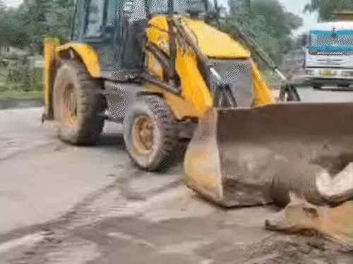 बेकाबू ट्रेलर ने मवेशियों को रौंदा, 9 की मौत:बिलासपुर-कोरबा नेशनल हाईवे पर हादसा; हाईकोर्ट ने सरकार से कहा था- प्रभावी कदम उठाइए image