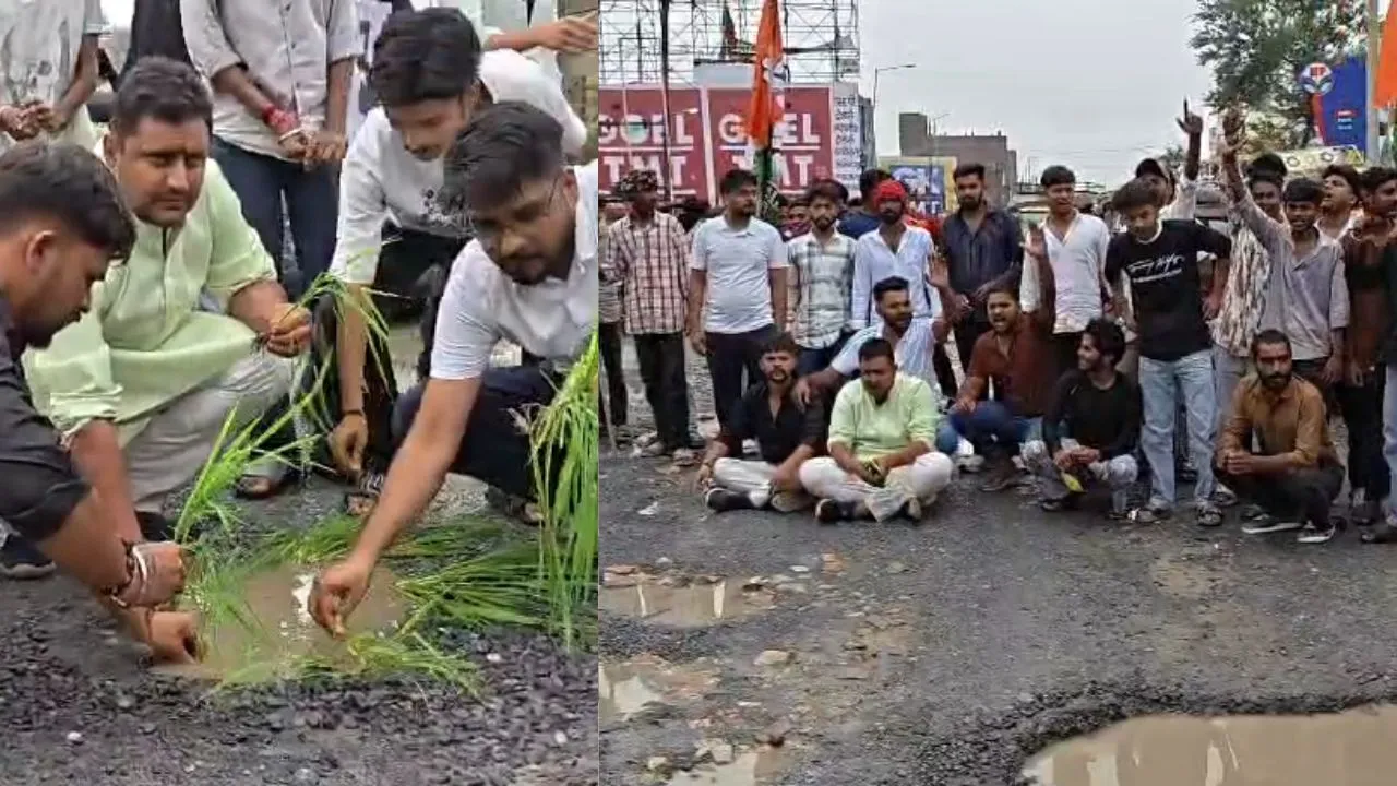 अंबिकापुर के प्रवेश द्वार पर गड्ढों का राज! यूथ कांग्रेस ने सड़क पर धान की नर्सरी लगाकर किया प्रदर्शन, प्रशासन के खिलाफ की नारेबाजी webp 23