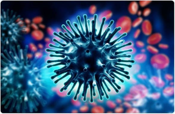 बिलासपुर में Swine Flu के 7 मरीज मिले, स्वास्थ्य विभाग अलर्ट images (5)