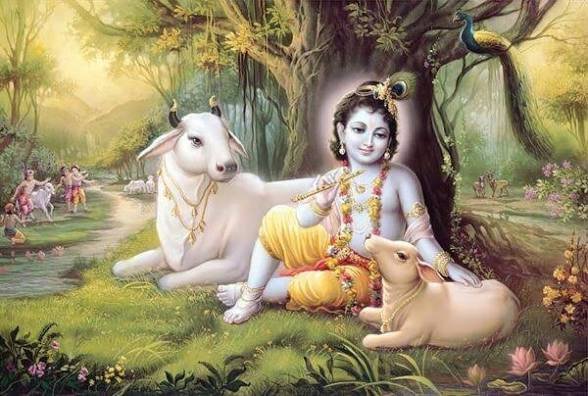 राजधानी में श्रीकृष्ण जन्मोत्सव की धूम: 101 किलो दूध से होगा अभिषेक, दही हांडी फोड़ने निकलेंगी गोविंदाओं की टोलियां images (8)
